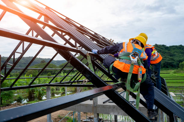 Best Roof Gutter Cleaning  in Great Falls, SC
